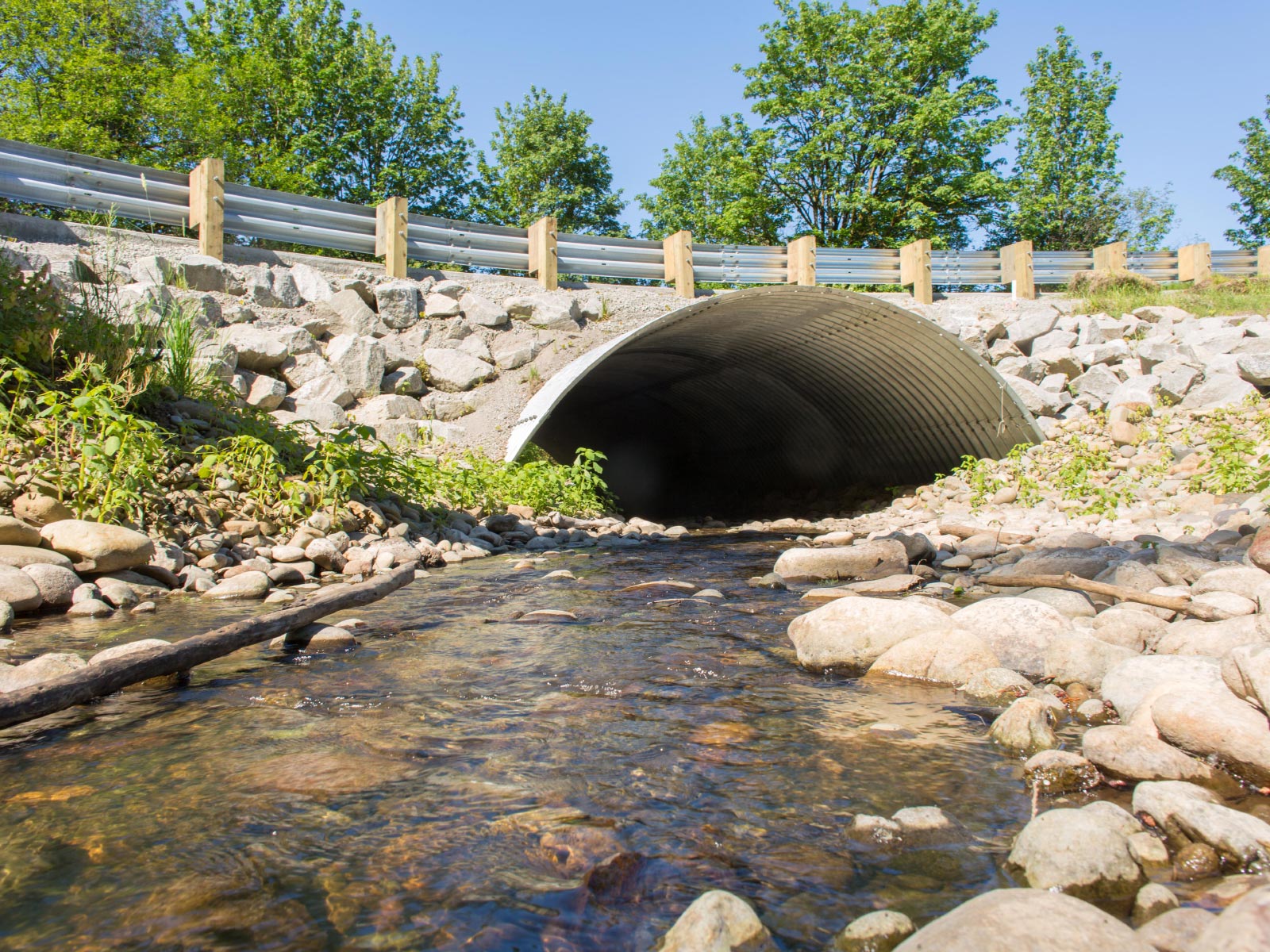 Carty Road Cluster and Fish Passage Culvert