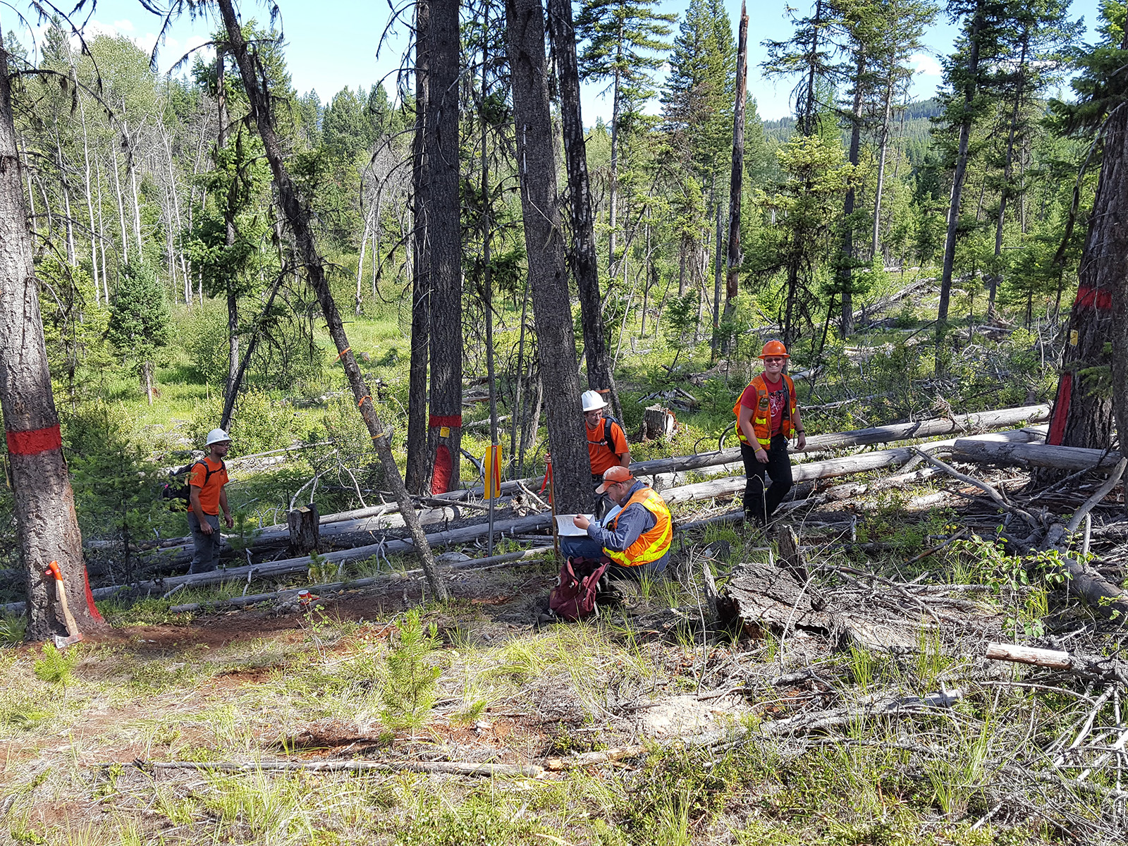 U.S. Forest Service On-Call Cadastral Survey Services