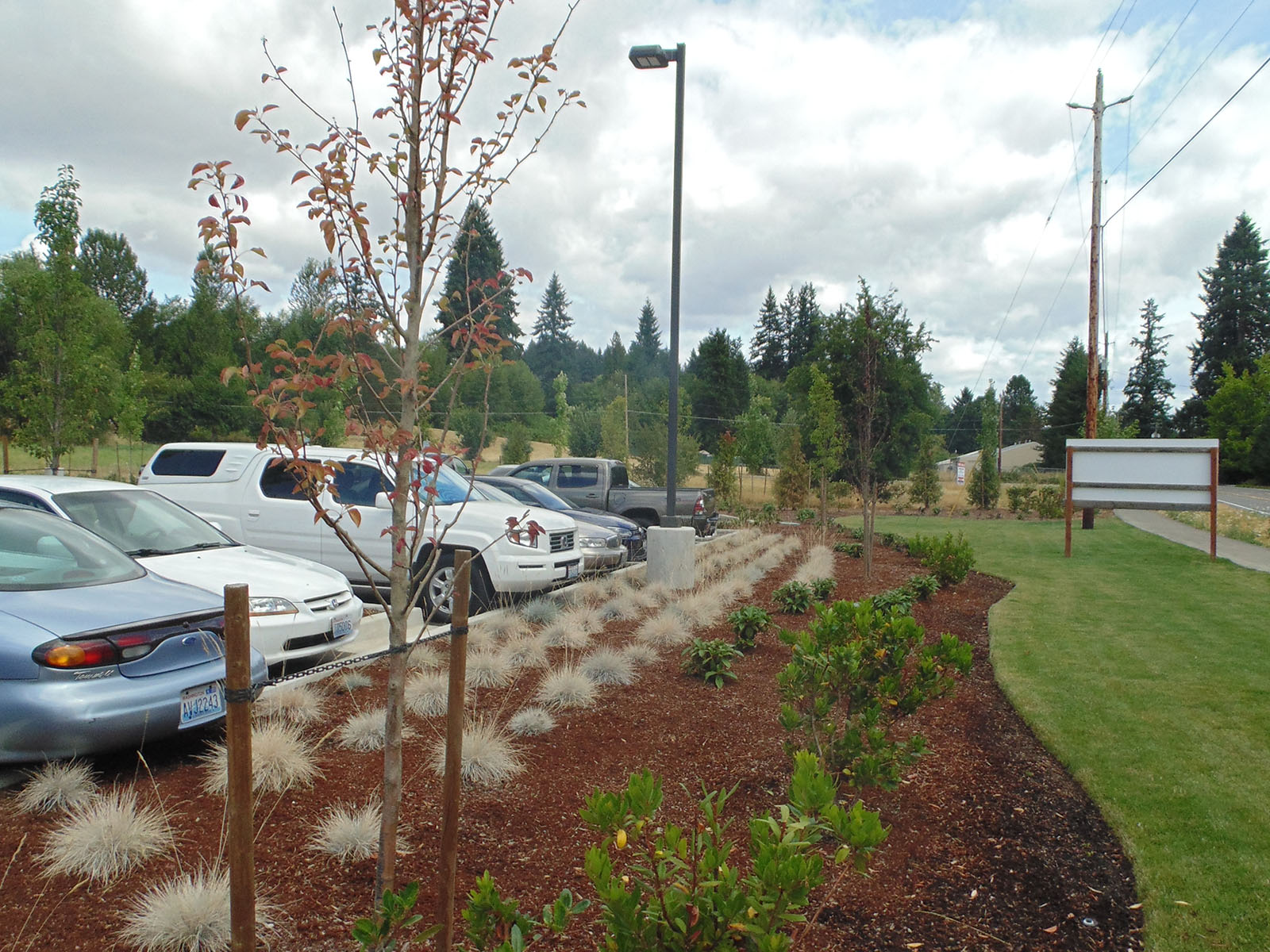 Bonaventure, Salmon Creek, retirement community, Vancouver, Clark County, parking lot design, landscaping