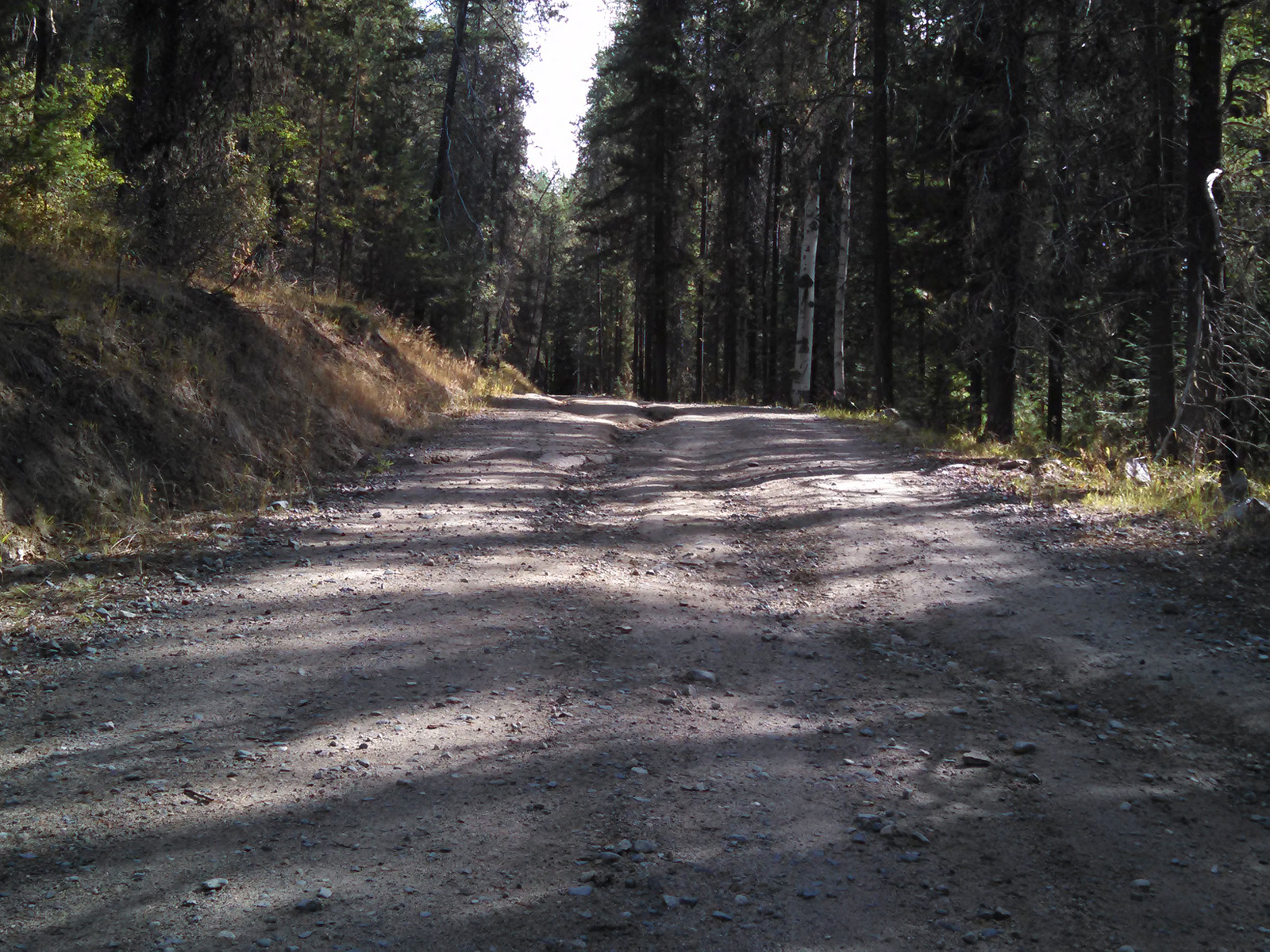 forest access road, logging road, access road analysis, forest roads