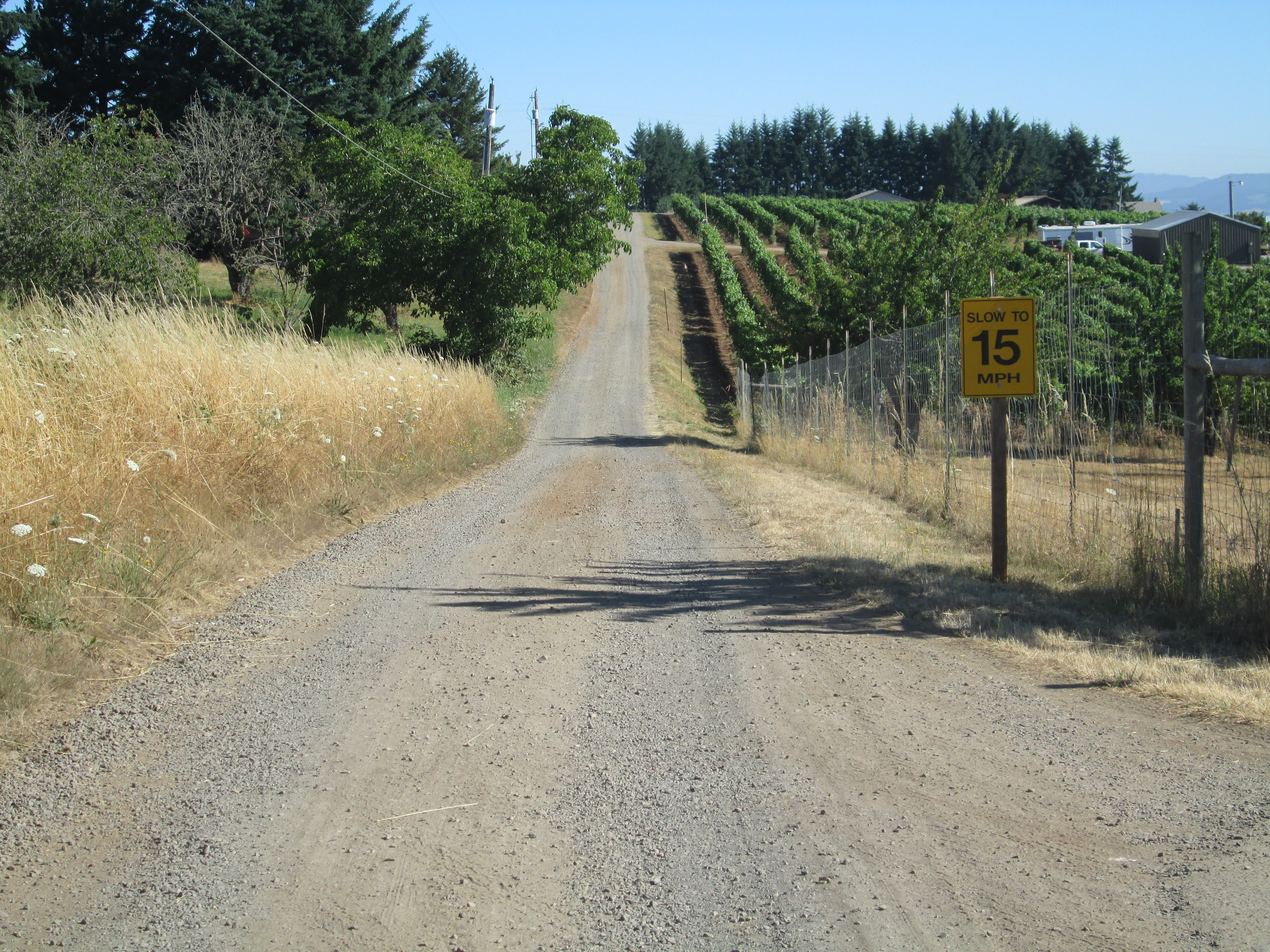 winery, civil engineering, access road, water resources, surveying, Brooks Family Winery