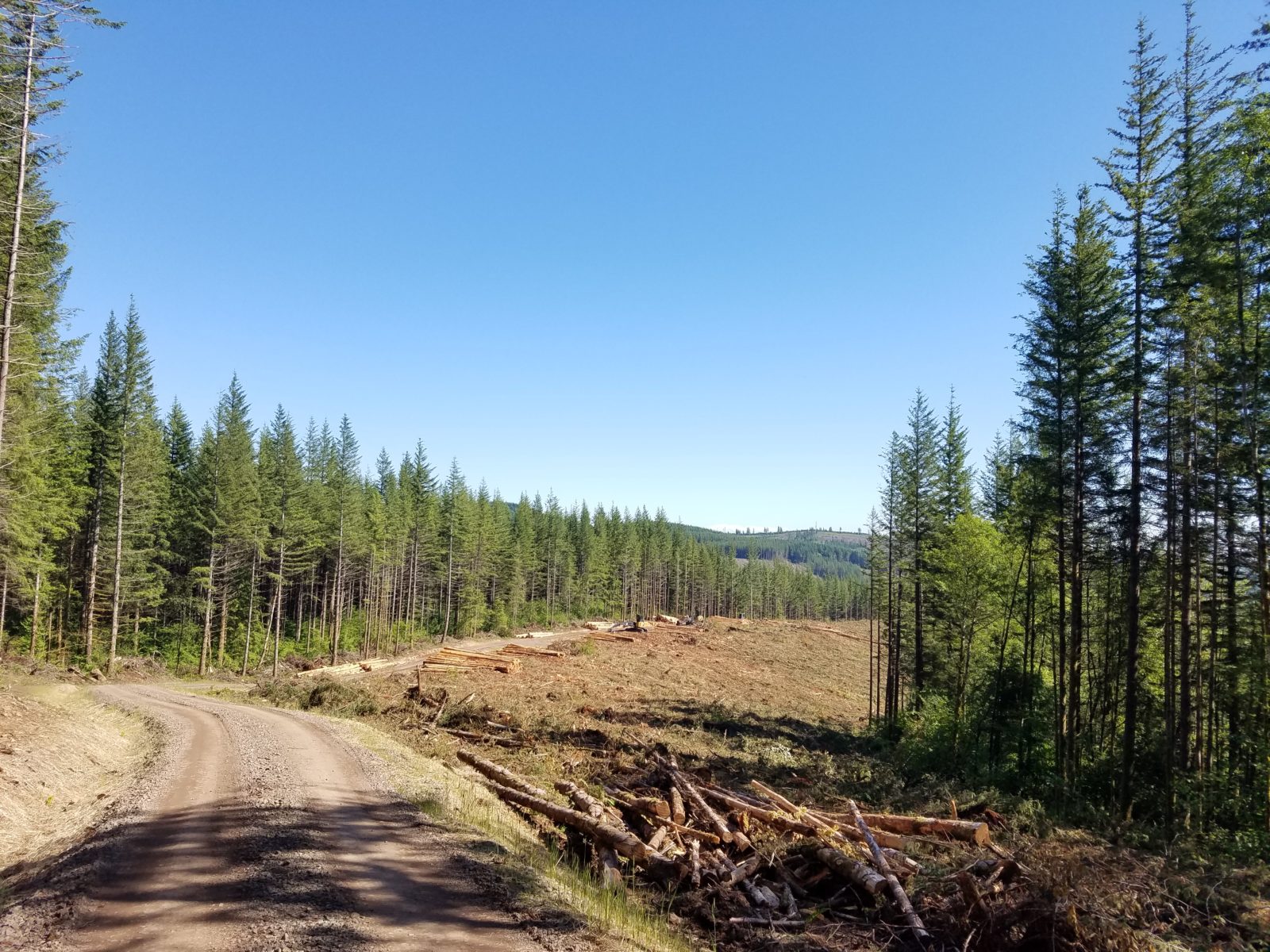 watersheds, City of Camas, Boulder Creek, Jones Creek, sustainable forest management, forest engineering, Vancouver, forest access roads, timber sale