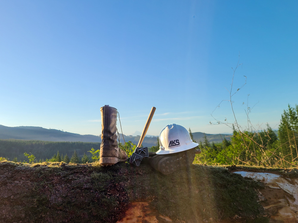 AKS Forestry hard hat and gear with forest scene in background